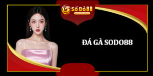 Đá Gà Sodo88