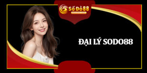 Đại Lý Sodo88