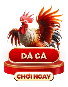 đá gà